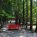 금산지구별그림책마을 이미지