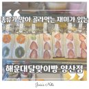 삽량로 | 양산빵집 대한명인이 굽는 찐 양산빵맛집 방문 후기 ㅣ 해운대달맞이빵 양산점