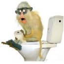 대항길외과의원 | [부산] 중구 대항길외과의원 치질 치핵 수술 후기 리뷰