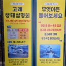 수산2리 생태마을 포토존 | 울산 아이와 가볼만한 곳 추천｜장생포 고래생태체험관 후기