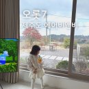 (주)비앤비 | 제주 애월 오롯7 에어비앤비 아이동반 대가족 독채 숙소 내돈내산 후기