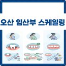 오산프리모의원 | 오산 중앙동 임산부 스케일링, 필요성에도 치과에서 진행을 신중히 결정하게 되는 이유