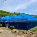 (주)대진상사 네이버블로그