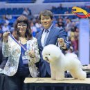 워킹포드림 이미지