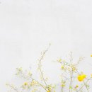 세브란스의원 이미지