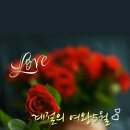 토리토리 이미지
