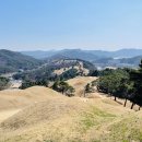 GR(고령군)-[대가야로]-하-37 | 서울촌놈의 국내여행 뿌수기 [고령 편]