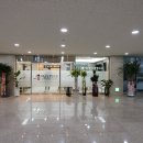 마스터즈정형외과의원 티스토리