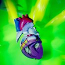 신경한의원 이미지