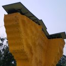 종합운동장 인공암벽등반 이미지