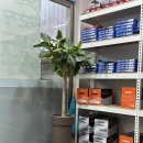 도화중부점 기아오토큐 이미지