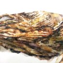 앤섬미술학원 이미지