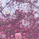 (주)정발산 네이버블로그