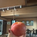 산천송어 | [정선] 하이원맛집 정선송어포장맛집 : 고향산천