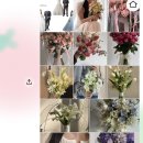디어마이로지플라워