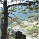 계곡사랑 이미지