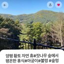 월송가든 황토방 펜션 | 양평 서종면 숙소 후기ㅣ양평 황토자연휴 펜션ㅣ내돈내산
