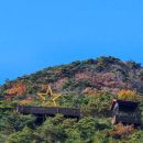 법백로1 | 영광 캠핑아이, 별난 전망대가 있는 캠핑장, 명당자리는?