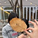 GS25 포항우방점 | 🍂🌅🚍♨️🍫🍨