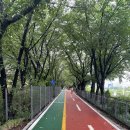 군자교남단 이미지