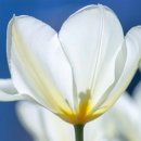 공부하는 힘, 몰입 이미지