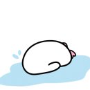 정성다믐 이미지