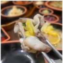 여수새조개 행운무궁화 이미지