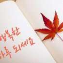 하늘담은식탁