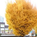 응암근린공원 이미지