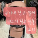핑크폭스 | 부가부 신규 컬러 더스티 핑크 실물 후기 (feat. 버플2, 폭스5)