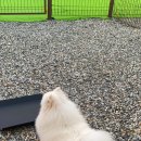 위아더멍