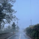 카푸치노펜션 | [담양] 자연 가득한 ‘카푸치노 펜션’ 숙박 후기🏡