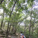 관악산 무장애숲길 이미지