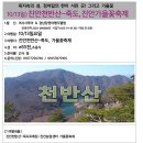 10/13일) 진안천반산-죽도, 가을꽃축제 이미지