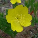 그대발길머무는곳에 이미지