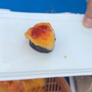 ms재건병원 | [대구 맛집 추천] : 칠성시장 야장 노상집 후기 (멍게 해삼 김밥 족발)