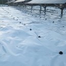 플러스2 태양광발전소 이미지