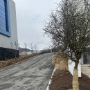 연우기분좋은날 | [용인카페] '아스테리카 by THE CHAIR' 방문후기