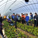 박주열농장 이미지