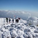 한라산 특별 산행 이미지