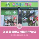 힐링허브약국 네이버블로그