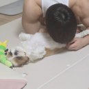 꽁냥파파