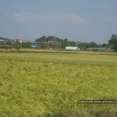 전대1리 이미지