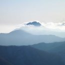 금오약국 이미지