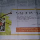 2015 정우초등학교 37회 가을모임 광고(정읍신문 20151121) 이미지