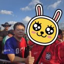 대인생역전 | 2026 북중미 월드컵 직관 후기 대한민국 대 체코 에스타디오 아크론 감동의 역전승 현장