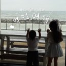 퍼즈269