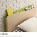 보르네오가구영주