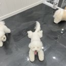 하루미 미용실