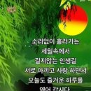 종(種)의 경계를 넘어선 우정 이미지